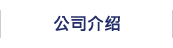 公司介绍