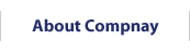 About Compnay