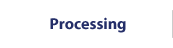 Processing